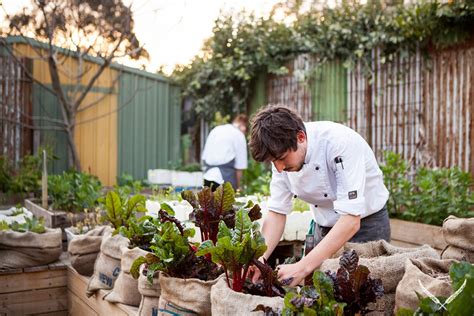 From Seed-to-Plate: The Melbourne Fine Dining Restaurant You Need To Visit | Melbourne | The ...