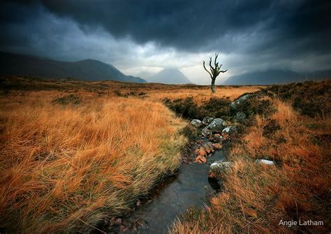 "Scotland : Rannoch Moor" by Angie Latham | Redbubble