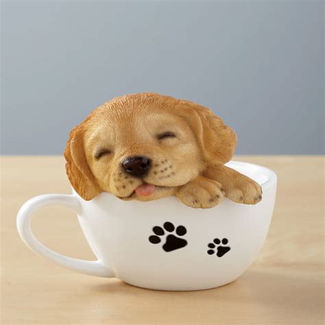 Teacup Pup Golden Retriever - Walmart.com - Walmart.com