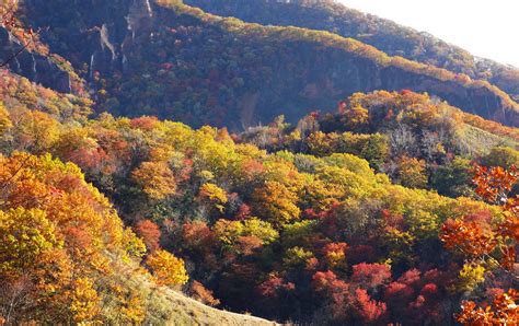 Bosque primaveral de Noboribetsu | Travel Japan - Organización Nacional de Turismo de Japón ...