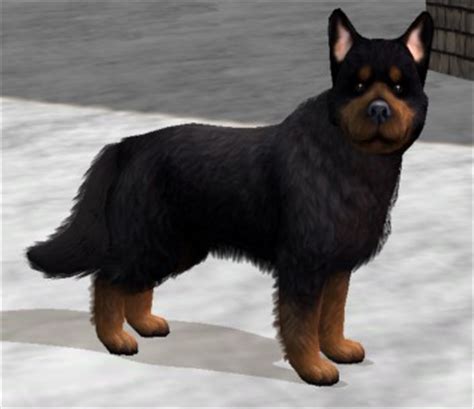 Mod The Sims - Tibetan Mastiff Wolf Mix