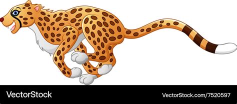 Cute cheetah running Royalty Free Vector Image