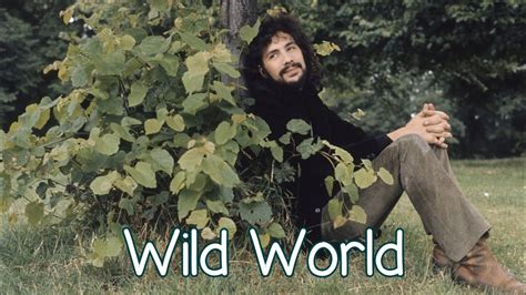 Cat Stevens - Wild World - With Lyrics - YouTube