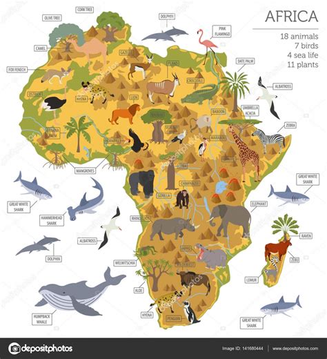 Flora And Fauna Of Africa