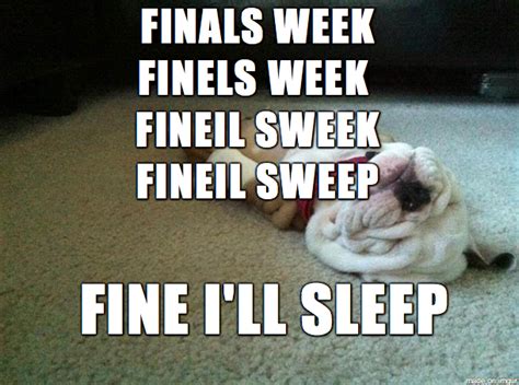 Finals week - Meme Guy