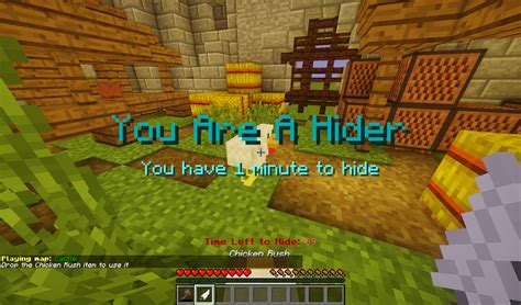 Minecraft Hide And Seek Map - Margaret Wiegel