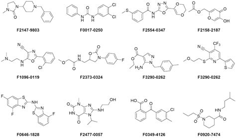 Serine Protease Screening Libraries | Protease Screening Libraries | Targeted and Focused ...