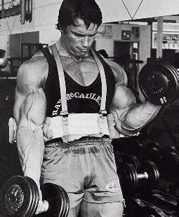 Arnold Schwarzenegger Bodybuilding Workout Routine