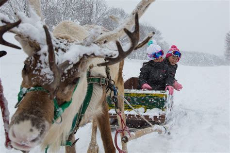 Winter Activities | Niseko United