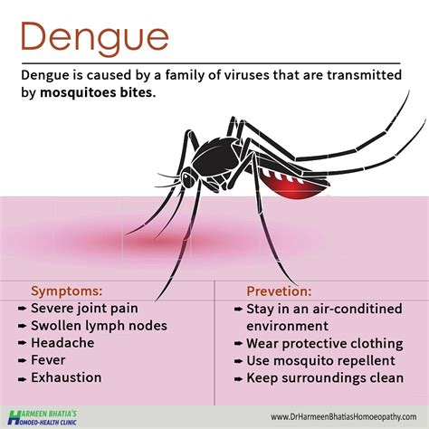 New Mosquito Disease 2025 - Adam Ince