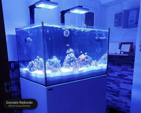 Waterbox Aquariums REEF