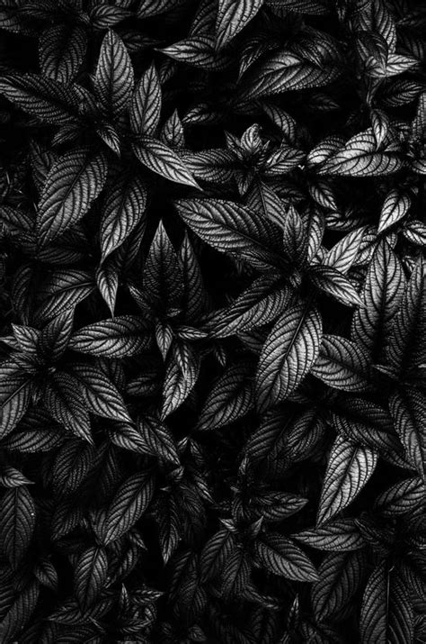 Dark Minimal Wallpaper