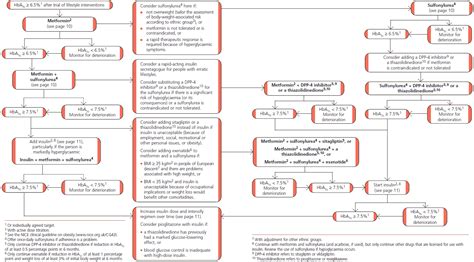 Diagnose: Diagnosing Hypoglycemia