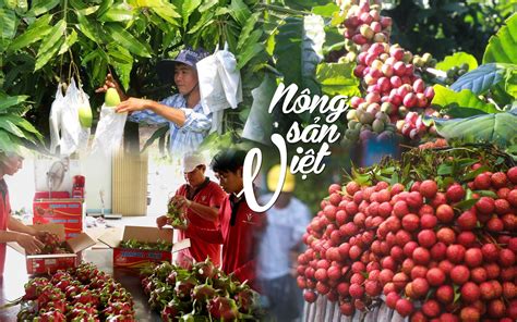 thanh lap cong ty nong san | luật sư hình sự