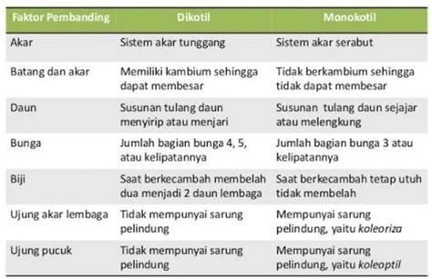 buatlah tabel perbedaan tumbuhan monokotil dan dikotil berdasarkan sistem perakaran, susunan ...