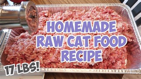 Homemade Raw Cat Food Recipe – Bulk Batch – That I’ve Been Feeding The Cats - Lucky Ferals