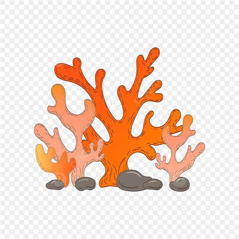 Orange Korallen Png, Vektoren, Clipart und PSD zum kostenlosen Download ...