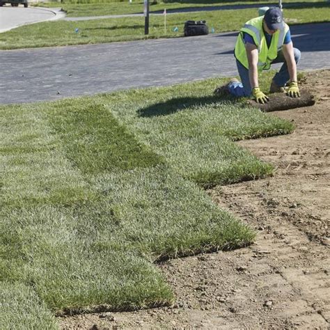 How to Prep for Sod Installation (DIY) | Family Handyman