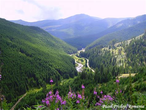 Pasul Prislop carpathian mountains Romania most beautiful european ...