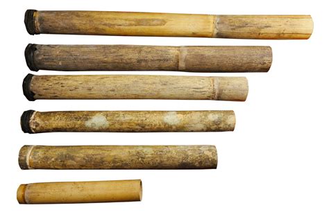 Tungatong - Philippine Bamboo Musical Instruments Innovation Research and Development