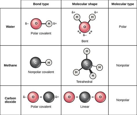 difference between polar and non polar - Overview, Structure, Properties & Uses