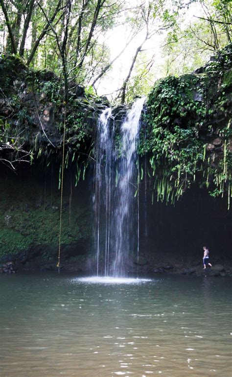 Twin Falls Hiking Trail in East Maui | Oahu vacation, Maui vacation, Twin falls maui