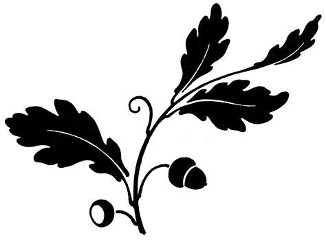 Antique Clip Art - Oak Leaf & Acorns - Silhouette | Leaf images, Leaf clipart, Graphics fairy