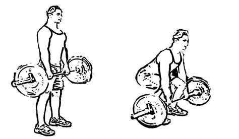 Russian Deadlift | Deadlift, Single leg deadlift, Deadlift variations