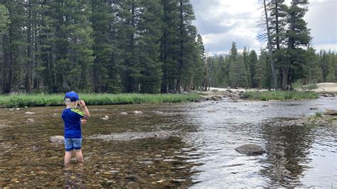 Yosemite Creek - Campflare