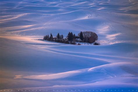 Palouse in Winter 2 Stock Image, Palouse Region, Washington - Sean ...