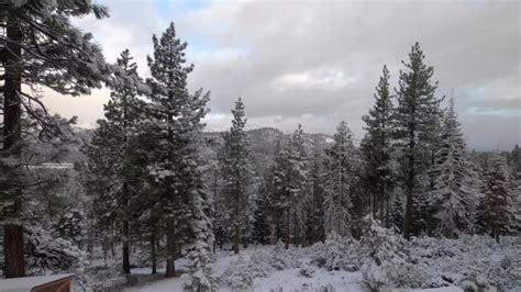 How Much Snow Did Tahoe Get - The Latest Totals and Forecast