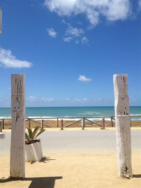 El Palmar Beach, Spain | Paisajes, Viajes, Palmas