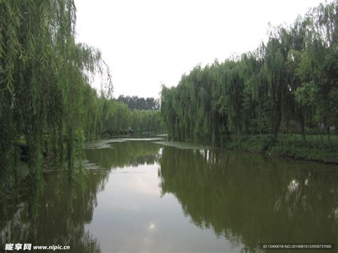 白洋淀的风景摄影图__国内旅游_旅游摄影_摄影图库_昵图网nipic.com