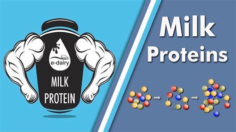 What about proteins in milk? | BetterHealth.com