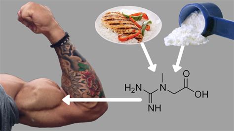 How to Take Creatine for Muscle Growth (12 Studies)