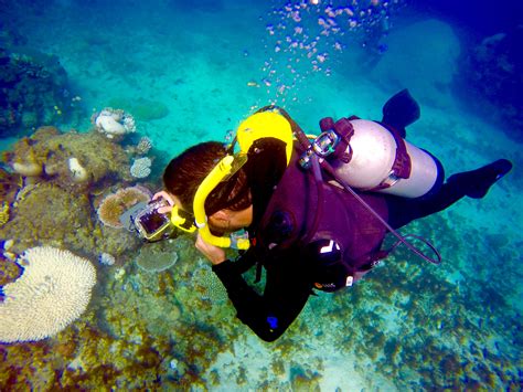 Diving The Great Barrier Reef, Australia – LIVETHEDREAMWITHTORI