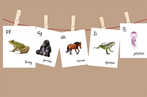 Alphabet Animal Photo Flashcards ABC Cards Printable - Etsy