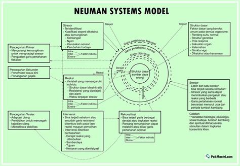 Exploring Neuman's System Model with an Illustrated Diagram