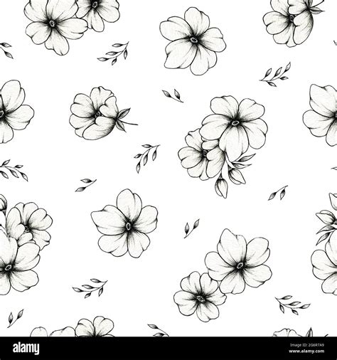 Flower Patterns And Designs Drawings