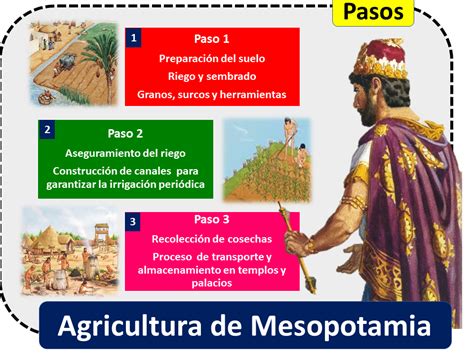 Agricultura de Mesopotamia | Economipedia