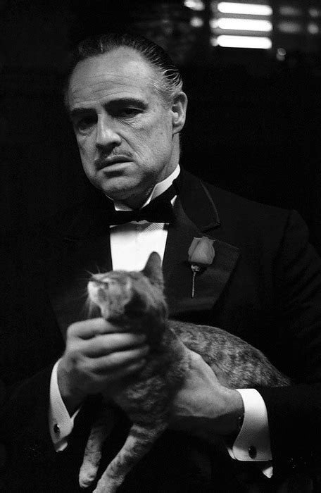 The Godfather - Marlon Brando Photo (32419872) - Fanpop