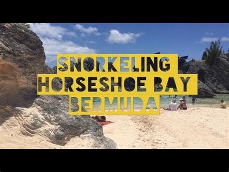 Snorkeling Horseshoe Bay - Bermuda - YouTube