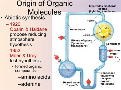 Abiogenesis | Introduction, Theory & Examples