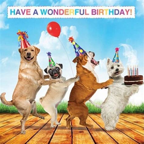 22+ Happy Birthday Dogs Funny