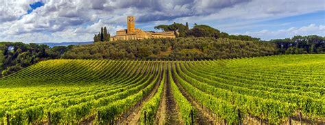 Wine Tour con guida a Cortona, Toscana | Tour con sommelier nel Chianti, a Montepulciano e ...