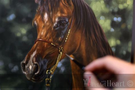 Arab Horse Oil Portrait in Progress - On The Easel