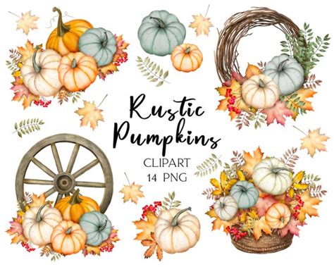 Pumpkin Clipart PNG Thanksgiving Clipart Autumn Clipart - Etsy