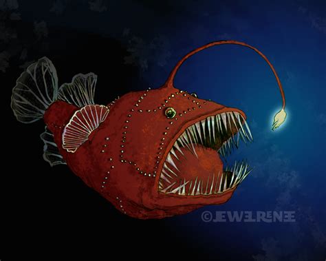 Jewel Renee Illustration: Deep Sea Angler Fish Illustration