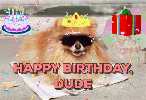 Happy Birthday Dog GIF - Find & Share on GIPHY