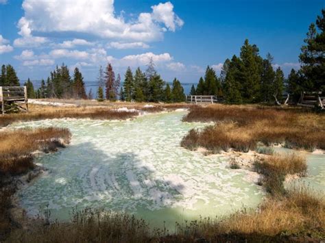 A Fascinating Look Inside Yellowstone's Mud Pots - Scenic States